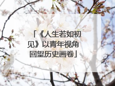 《人生若如初见》以青年视角回望历史画卷
