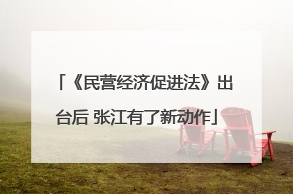 《民营经济促进法》出台后 张江有了新动作