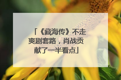 《藏海传》不走爽剧套路，肖战贡献了一半看点
