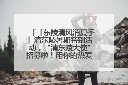 「东陵清风消夏季」清东陵暑期特别活动，“清东陵大使”招募啦！用你的热爱守护世界遗产！