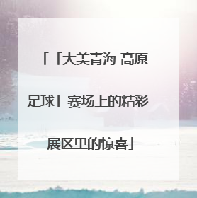 「大美青海 高原足球」赛场上的精彩 展区里的惊喜