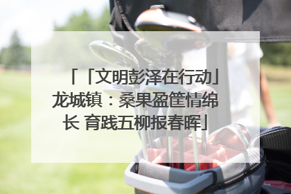 「文明彭泽在行动」龙城镇：桑果盈筐情绵长 育践五柳报春晖
