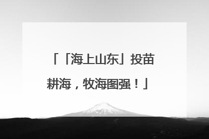 「海上山东」投苗耕海，牧海图强！