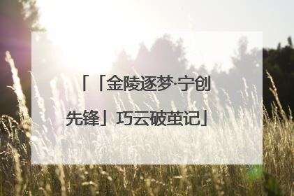 「金陵逐梦·宁创先锋」巧云破茧记