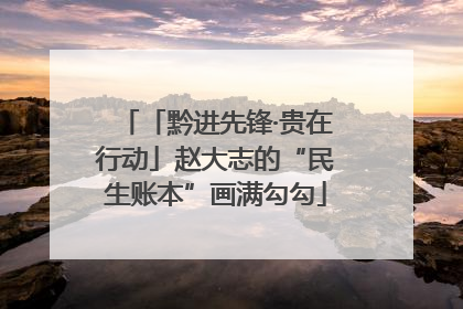 「黔进先锋·贵在行动」赵大志的“民生账本”画满勾勾