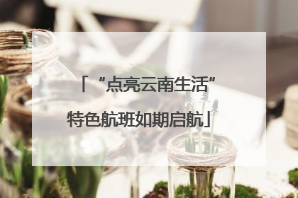 “点亮云南生活”特色航班如期启航