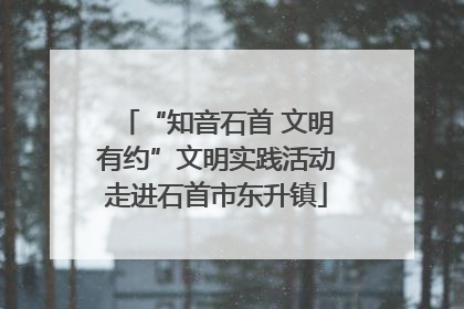 “知音石首 文明有约”文明实践活动走进石首市东升镇