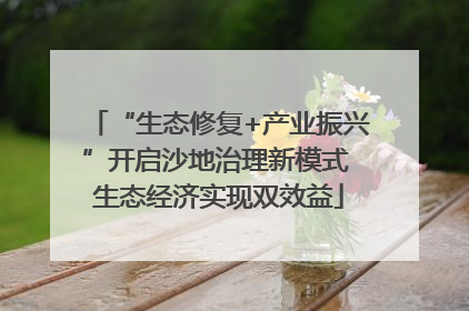“生态修复+产业振兴”开启沙地治理新模式 生态经济实现双效益