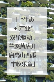 “生态 + 产业”双轮驱动，兰溪黄店开启高山西瓜丰收乐章