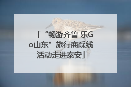 “畅游齐鲁 乐Go山东”旅行商踩线活动走进泰安