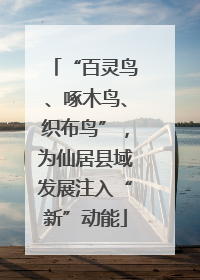 “百灵鸟、啄木鸟、织布鸟”，为仙居县域发展注入“新”动能