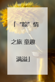 “粽”情之旅 童趣满溢