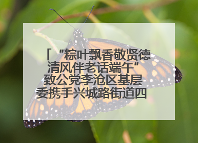 “粽叶飘香敬贤德 清风伴老话端午” 致公党李沧区基层委携手兴城路街道四流北路社区开展端午节主题活动