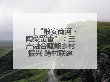 “粮安商河・陶梨留香”：三产融合赋能乡村振兴 跨村联建绘就共富画卷