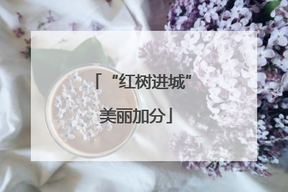 “红树进城” 美丽加分