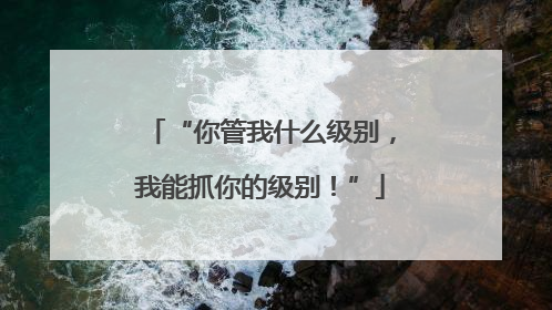 “你管我什么级别，我能抓你的级别！”