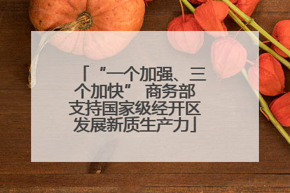 “一个加强、三个加快” 商务部支持国家级经开区发展新质生产力