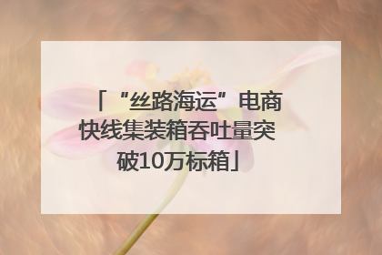 “丝路海运”电商快线集装箱吞吐量突破10万标箱