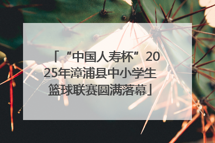 “中国人寿杯”2025年漳浦县中小学生篮球联赛圆满落幕