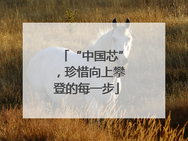“中国芯”，珍惜向上攀登的每一步