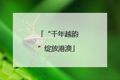 “千年越韵”绽放港澳
