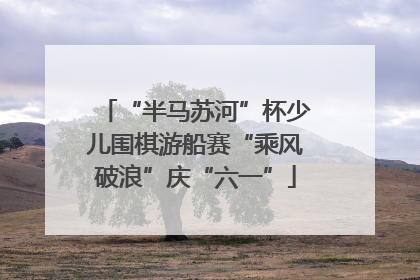 “半马苏河”杯少儿围棋游船赛“乘风破浪”庆“六一”