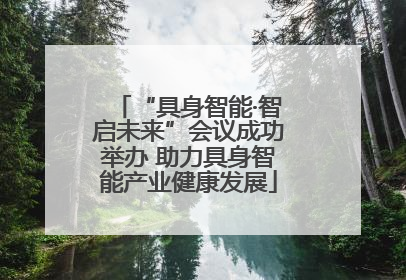 “具身智能·智启未来”会议成功举办 助力具身智能产业健康发展