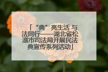 “典”亮生活 与法同行——湖北省松滋市司法局开展民法典宣传系列活动