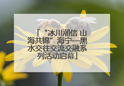 “冰川潮信 山海共锦”海宁—黑水交往交流交融系列活动启幕