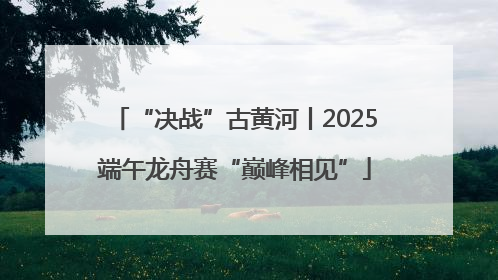 “决战”古黄河丨2025端午龙舟赛“巅峰相见”