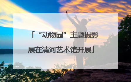 “动物园”主题摄影展在清河艺术馆开展