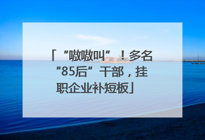 “嗷嗷叫”！多名“85后”干部，挂职企业补短板