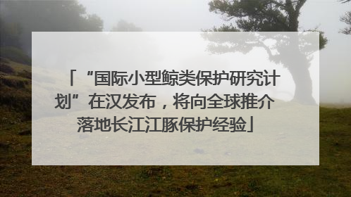 “国际小型鲸类保护研究计划”在汉发布，将向全球推介落地长江江豚保护经验