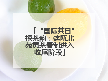 “国际茶日”探茶韵：建瓯北苑贡茶春制进入收尾阶段