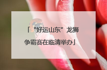 “好运山东”龙狮争霸赛在临清举办