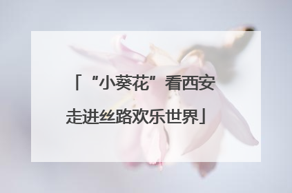 “小葵花”看西安走进丝路欢乐世界