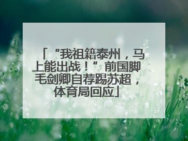 “我祖籍泰州，马上能出战！”前国脚毛剑卿自荐踢苏超，体育局回应