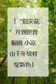 “指尖花”开到世界橱窗 小凉山千年纹样绽新色
