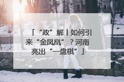 “政”解丨如何引来“金凤凰”？河南亮出“一盘棋”