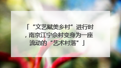 “文艺赋美乡村”进行时，南京江宁佘村变身为一座流动的“艺术村落”