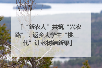 “新农人”共筑“兴农路”：返乡大学生“桃三代”让老树结新果