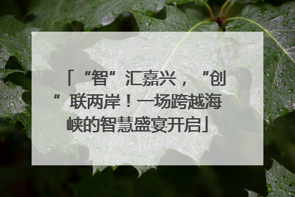 “智”汇嘉兴，“创”联两岸！一场跨越海峡的智慧盛宴开启