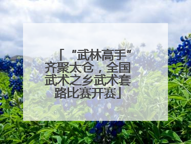 “武林高手”齐聚太仓，全国武术之乡武术套路比赛开赛