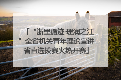 “浙里循迹·理润之江”全省机关青年理论宣讲省直选拔赛火热开赛