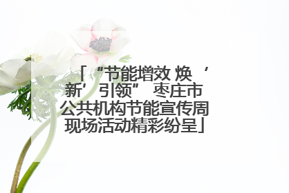 “节能增效 焕‘新’引领” 枣庄市公共机构节能宣传周现场活动精彩纷呈