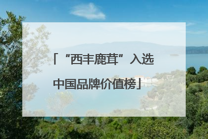 “西丰鹿茸”入选中国品牌价值榜