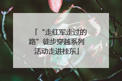 “走红军走过的路”徒步穿越系列活动走进桂东