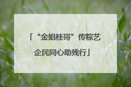 “金姐桂哥”传粽艺 企民同心助残行