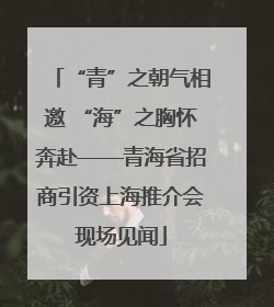 “青”之朝气相邀 “海”之胸怀奔赴——青海省招商引资上海推介会现场见闻