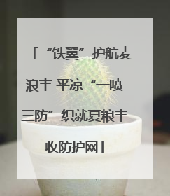 “铁翼”护航麦浪丰 平凉“一喷三防”织就夏粮丰收防护网